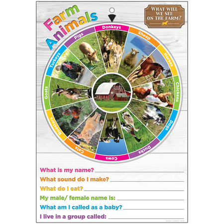 ASHLEY PRODUCTIONS Smart Poly Smart Wheel, Farm Animals 91605